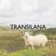 TRANSILANA