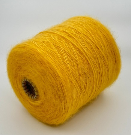 AMEBA GIALLO