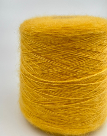AMEBA GIALLO
