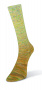 PAINT-SOCK-17